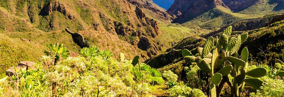 Äkkilähdöt La Gomera